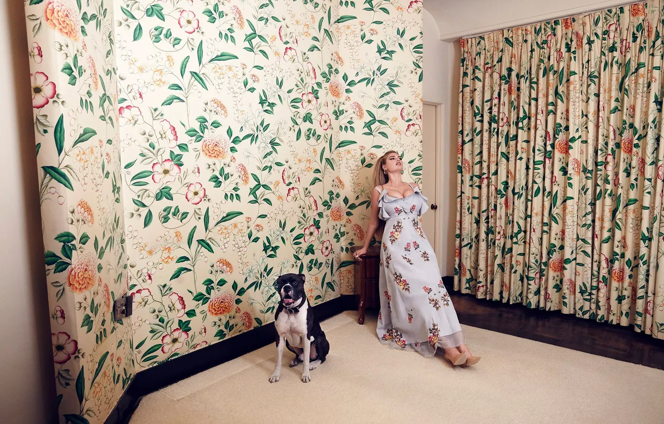 Photo wallpaper pose, model, interior, dog, dress, actress, blonde, photographer