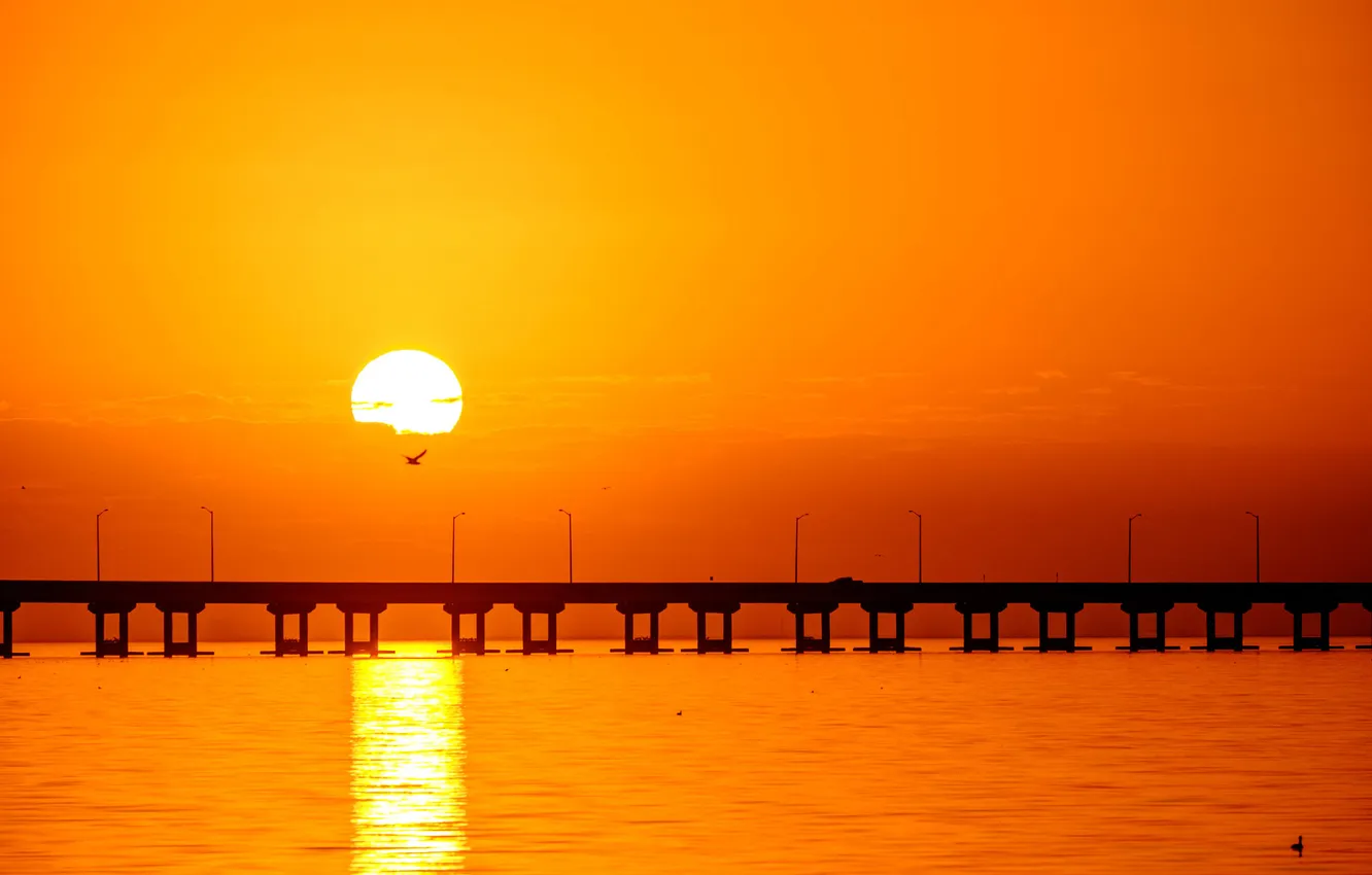 Photo wallpaper sunset, bridge, bird, Laguna, solar