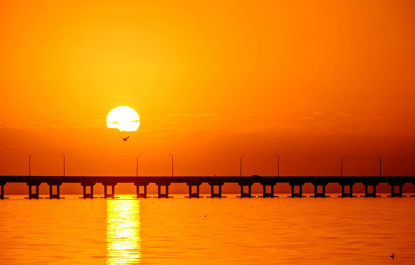 Photo wallpaper sunset, birds, bridge, solar, lagoon