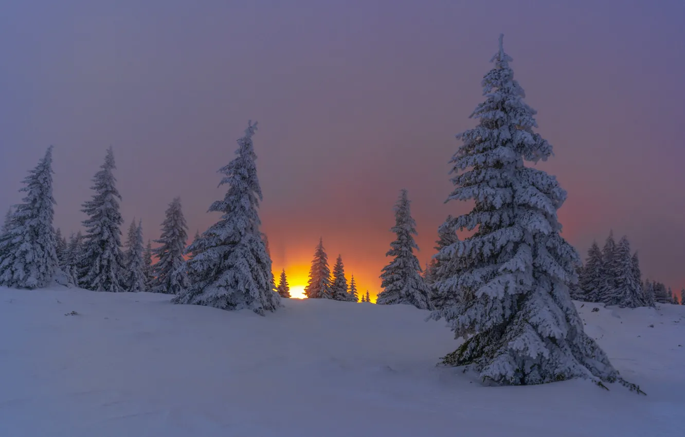 Photo wallpaper winter, snow, trees, landscape, sunset, nature, mountain, ate