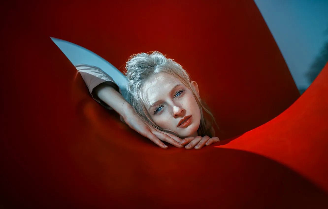 Photo wallpaper sponge, curls, SUMMER