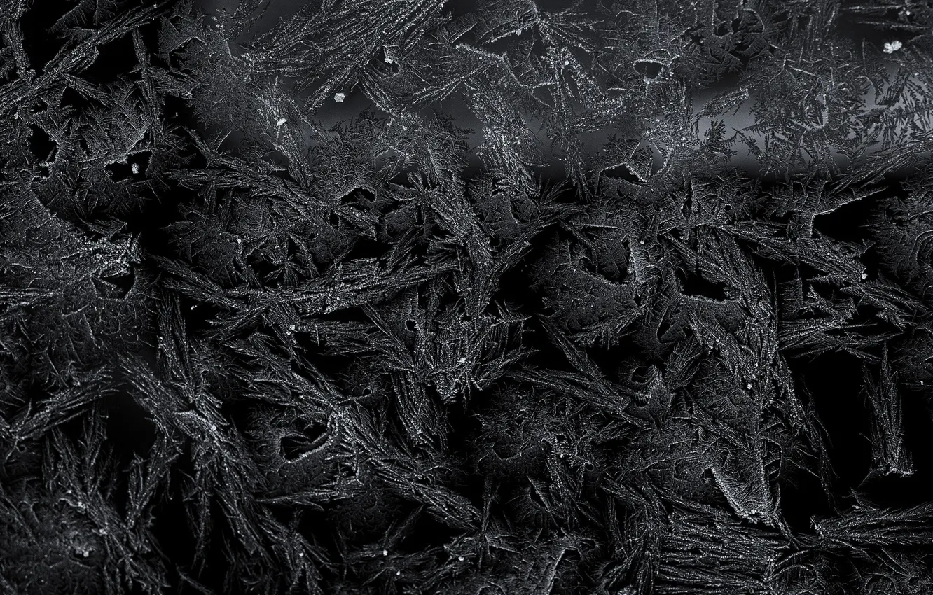 Photo wallpaper winter, frost, pattern, frost