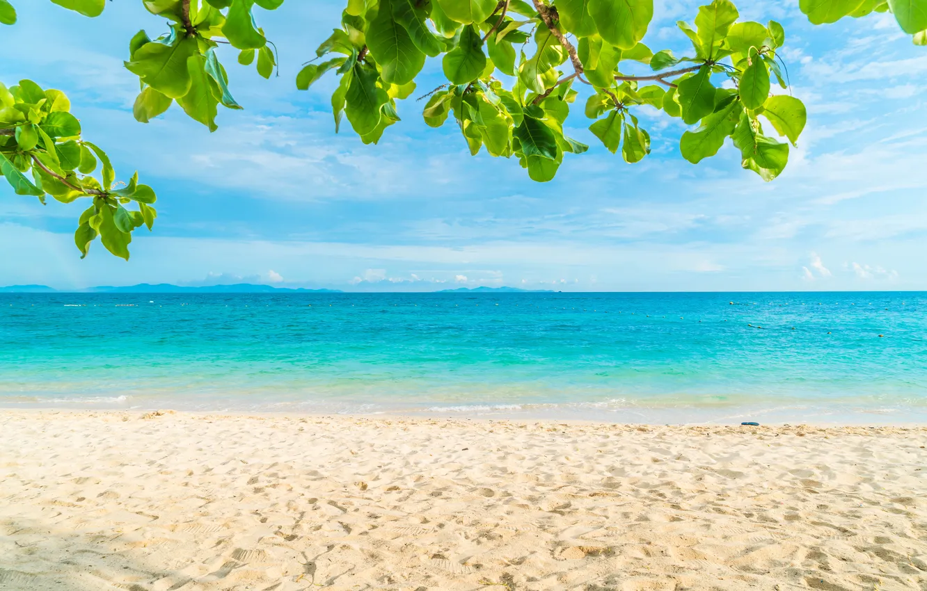 Photo wallpaper sand, sea, beach, summer, the sky, summer, beach, sea