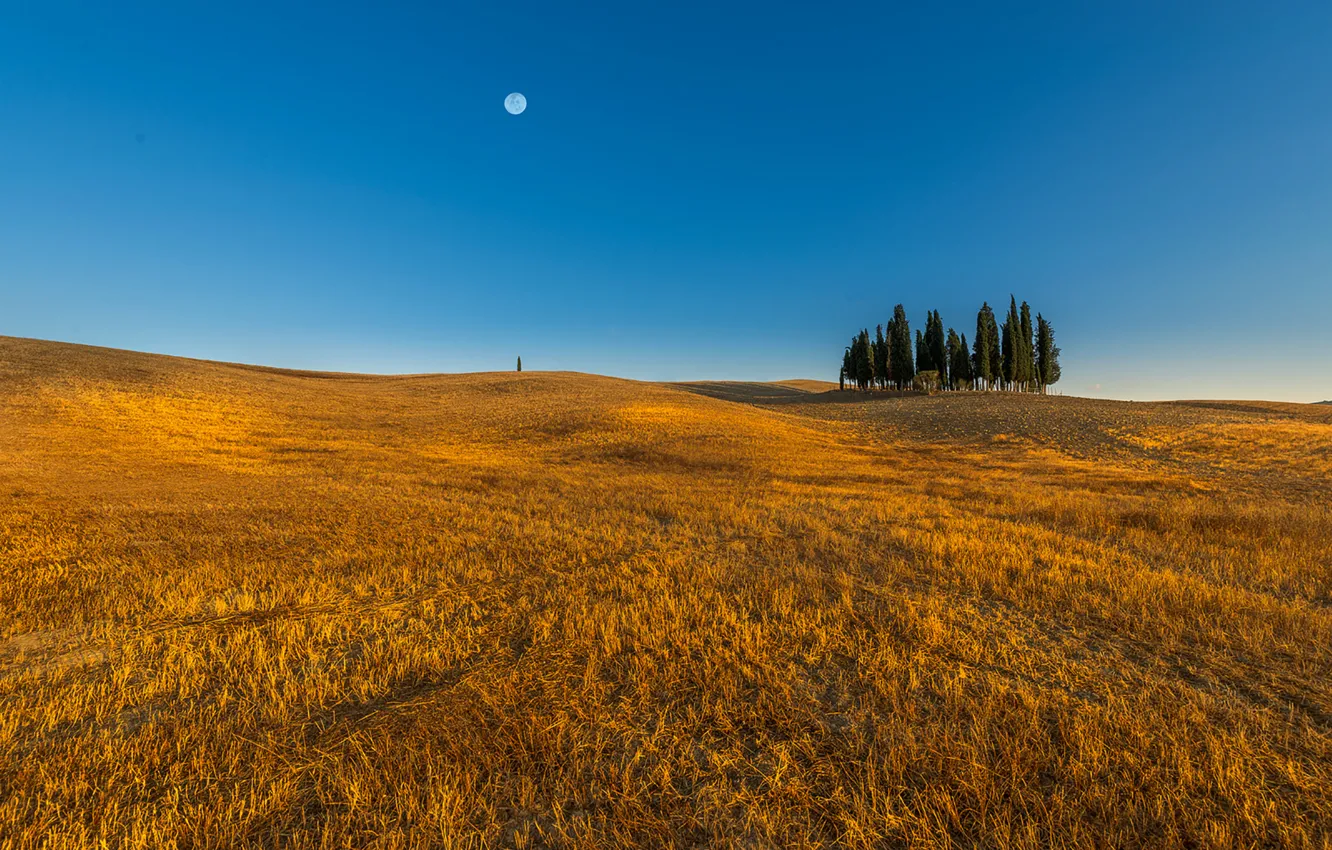 Photo wallpaper field, trees, line, the moon, horizon, farm, blue sky