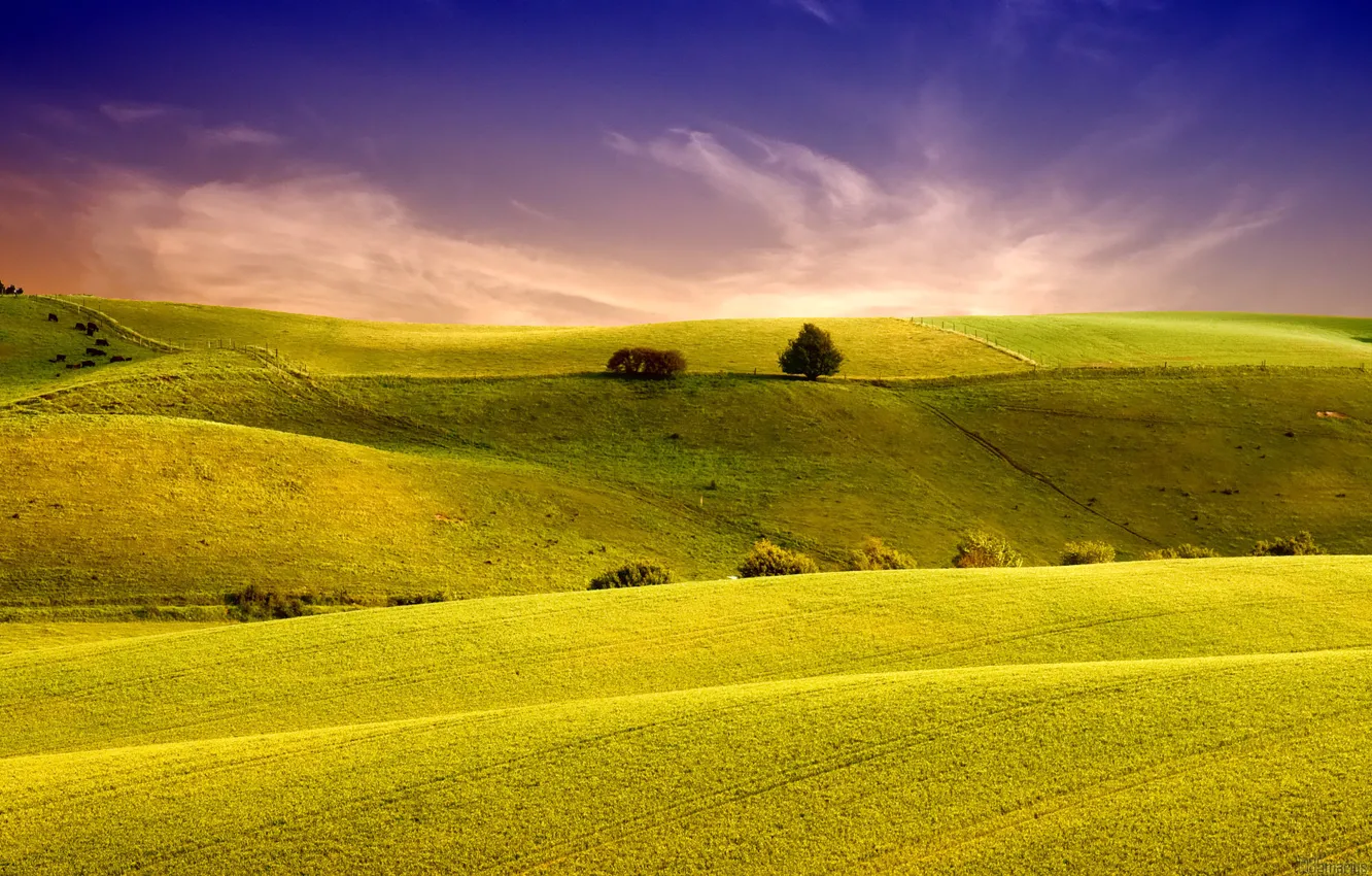 Photo wallpaper field, the sky, grass, landscape, nature, hills, field