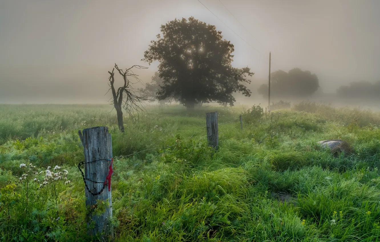 Photo wallpaper landscape, nature, fog, beauty