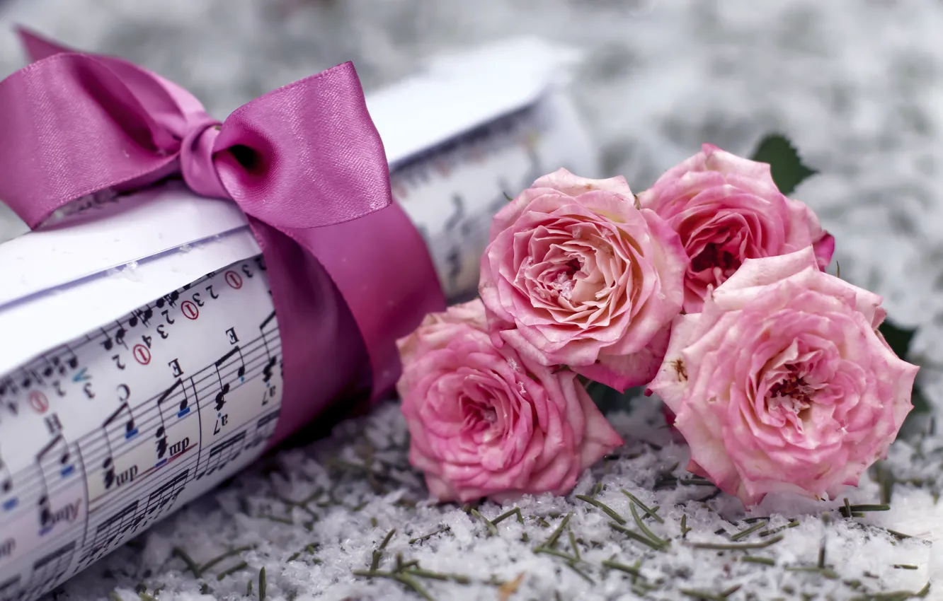 Photo wallpaper snow, flowers, notes, music, roses, bouquet, pink, bow
