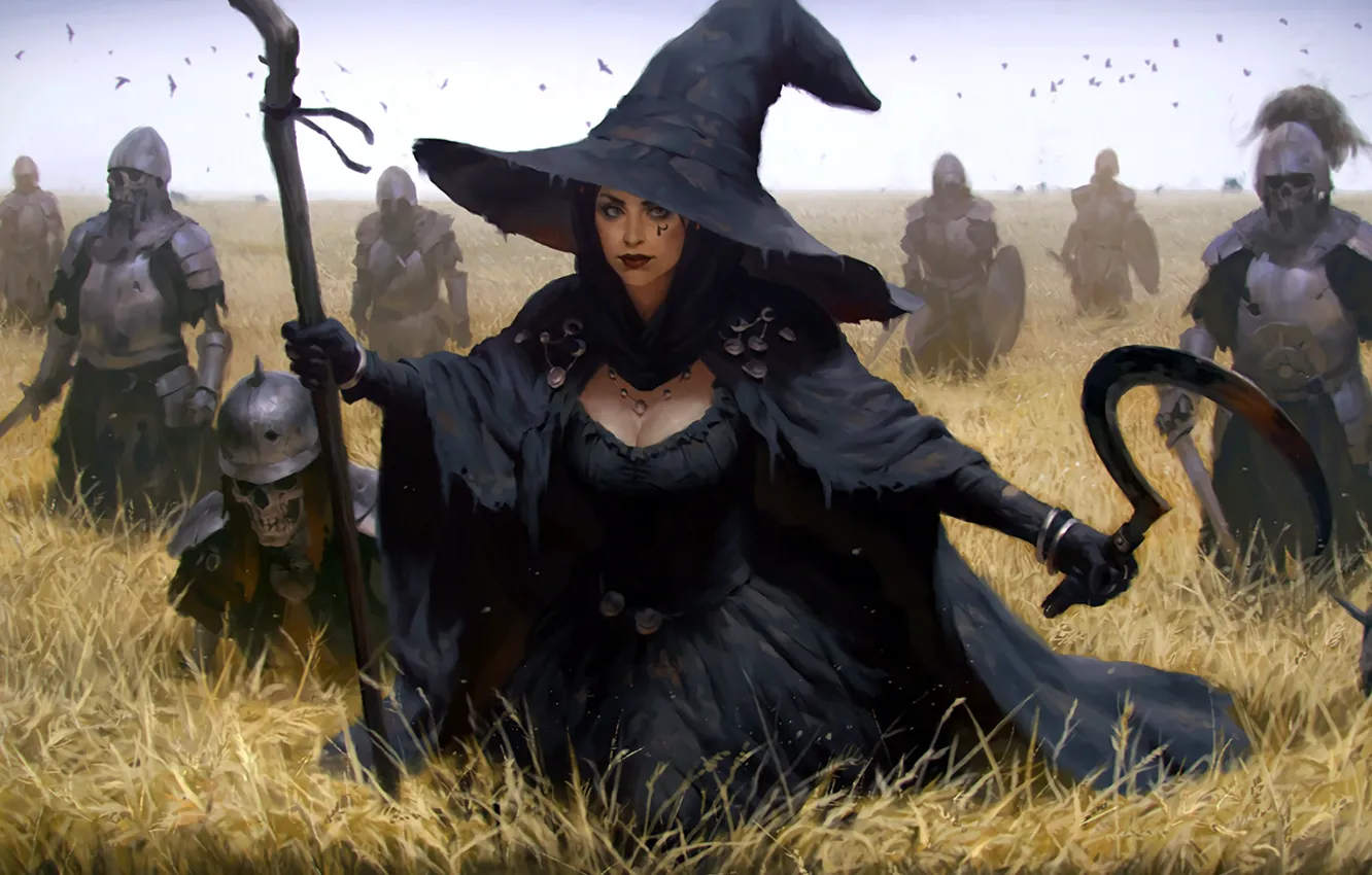 Photo wallpaper sword, fantasy, armor, field, weapon, hat, crow, army