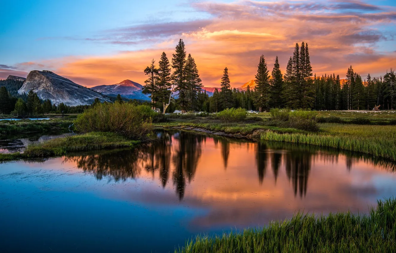 Photo wallpaper forest, sunset, mountains, nature, lake, reflection