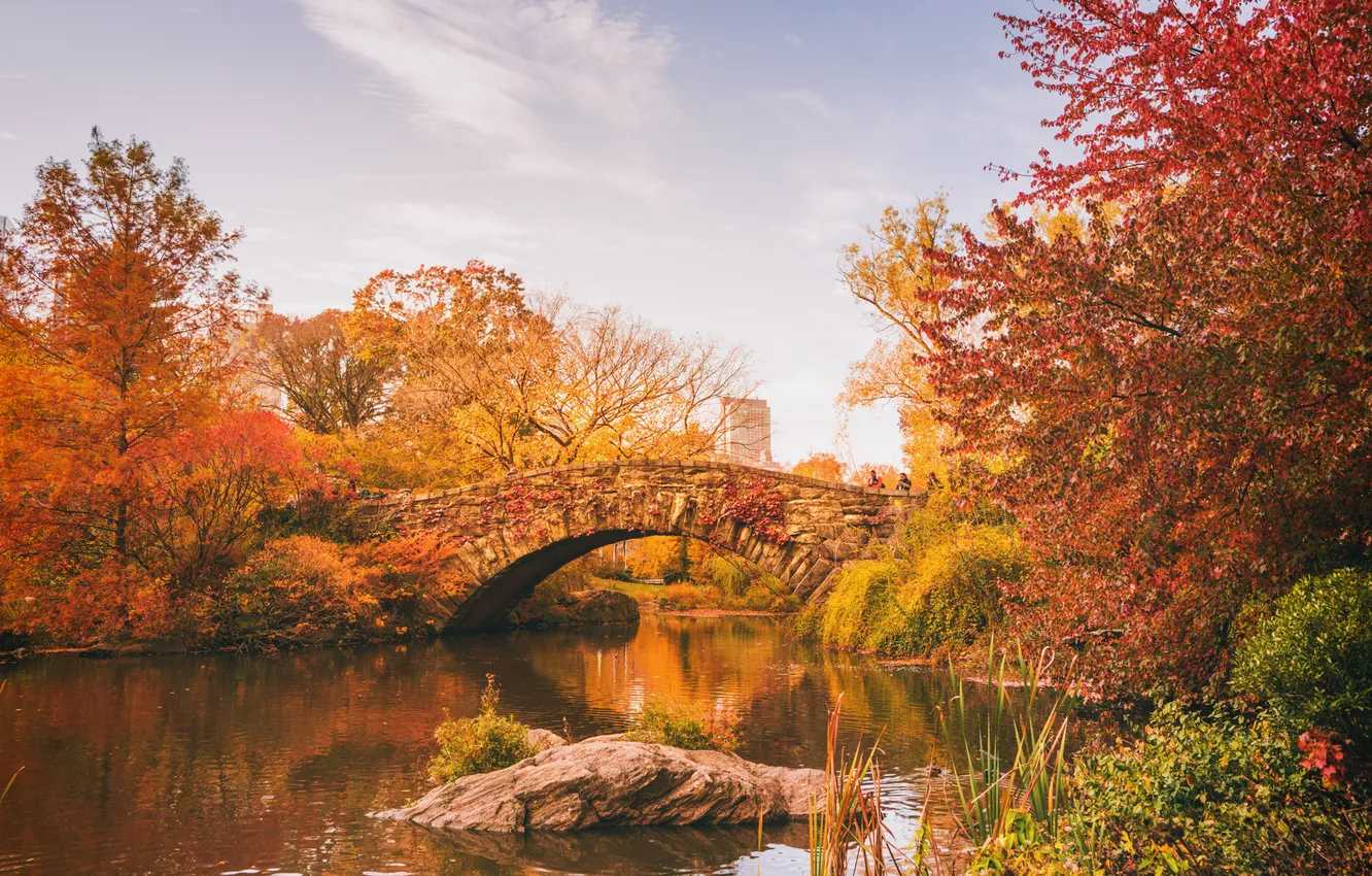 Photo wallpaper autumn, leaves, trees, lake, reflection, foliage, people, New York