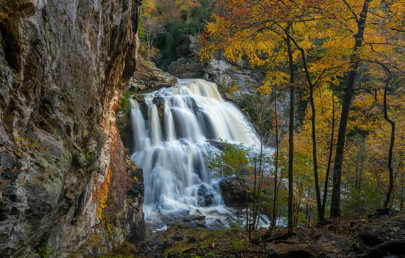 Photo wallpaper autumn, trees, rock, waterfall, cascade, North Carolina, North Carolina, Nantahala National Forest