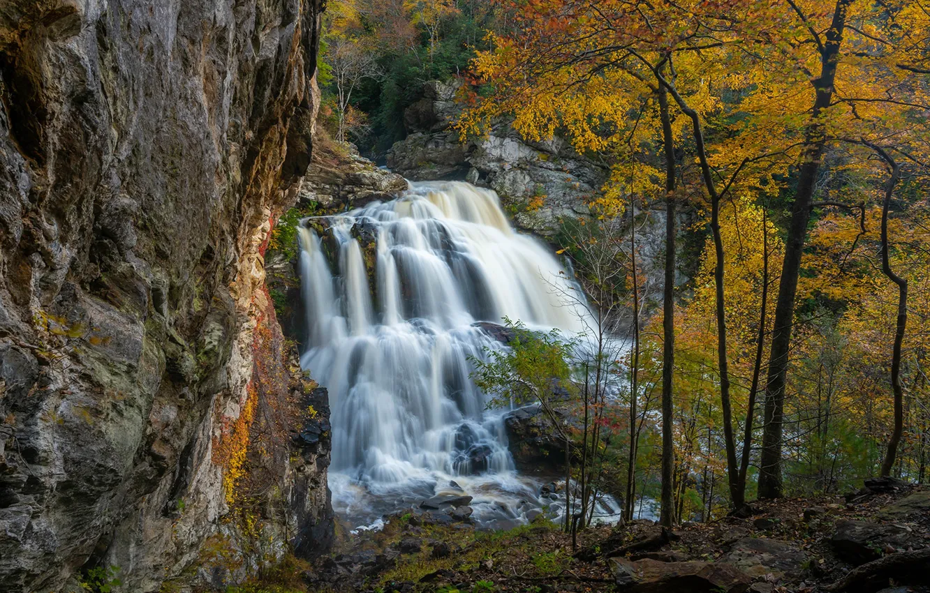 Wallpaper autumn, trees, rock, waterfall, cascade, North Carolina ...