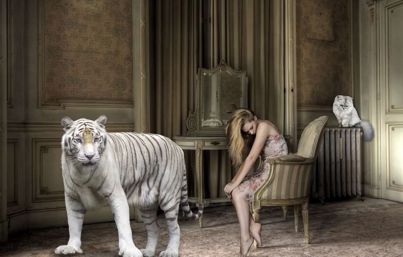 Photo wallpaper cat, girl, tiger, room
