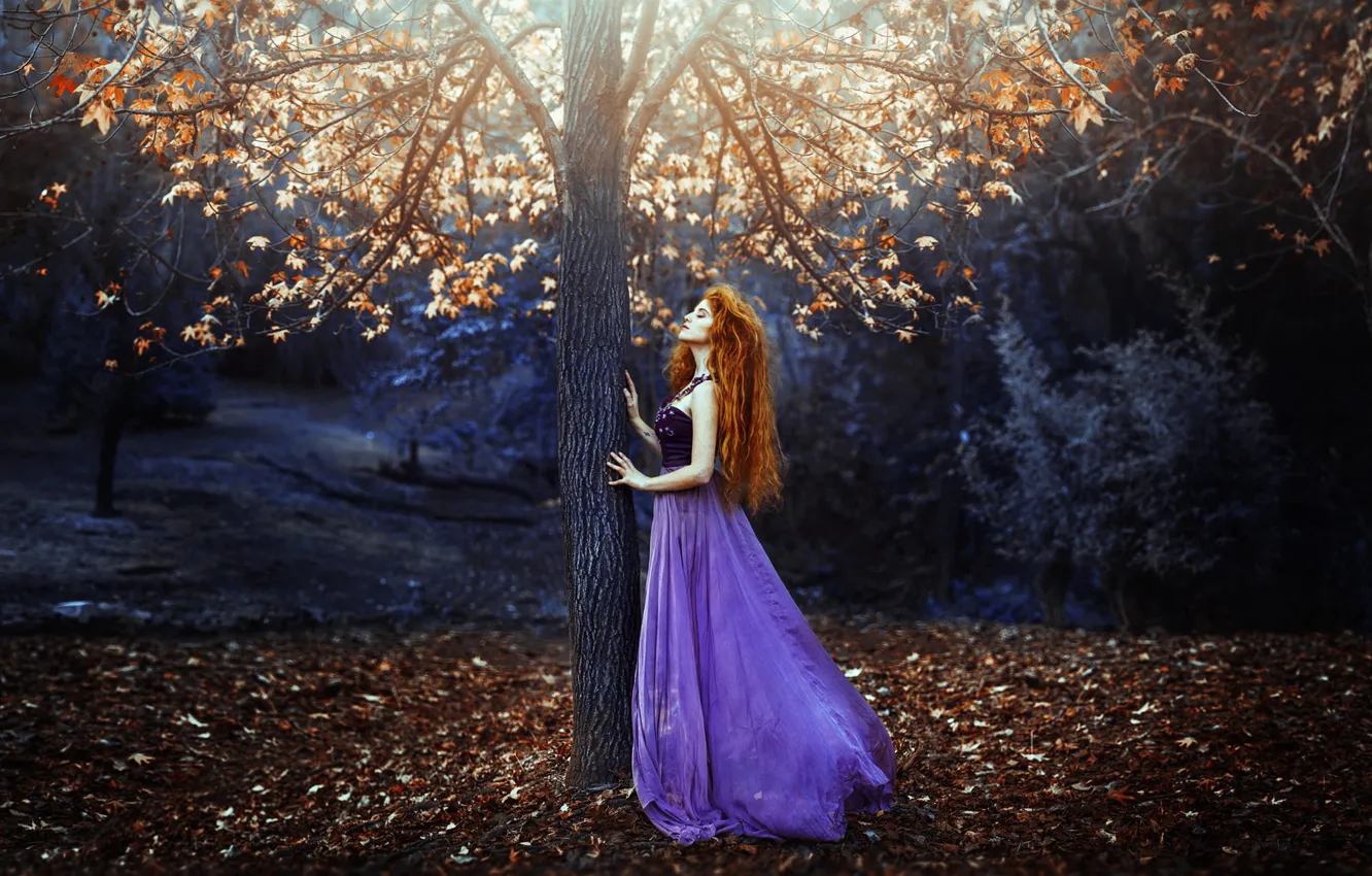 Photo wallpaper autumn, leaves, girl, tree, dress, Ronny Garcia, Prelude of light