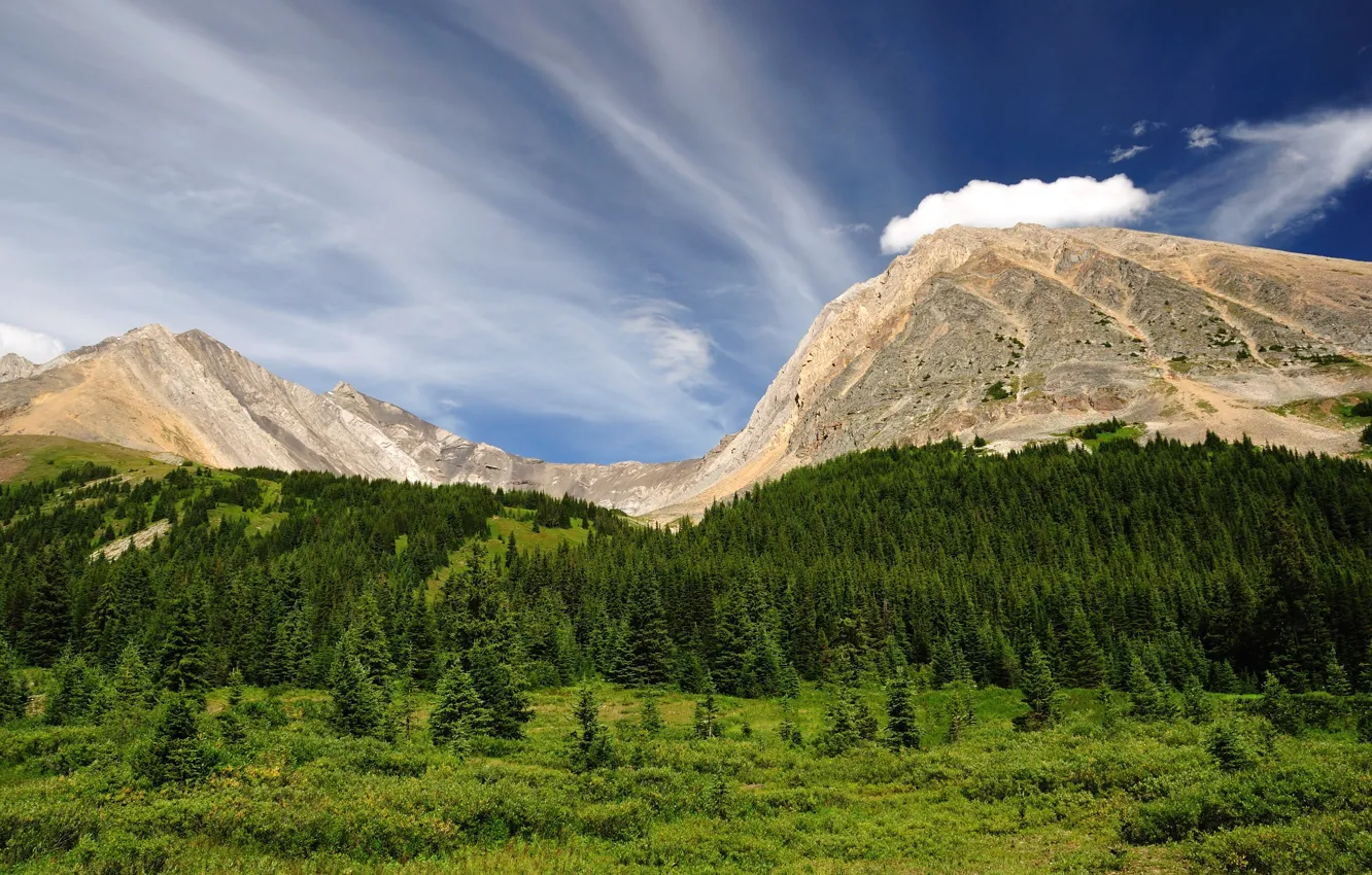 Photo wallpaper forest, the sky, mountains, Canada, Alberta, Canada, Kananaskis