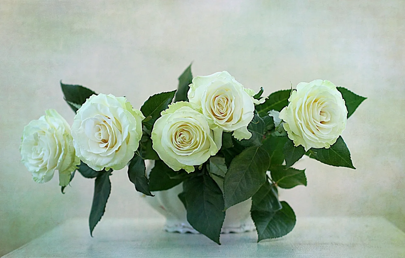Photo wallpaper WHITE, FLOWERS, NATURE, FLOWER, ROSES