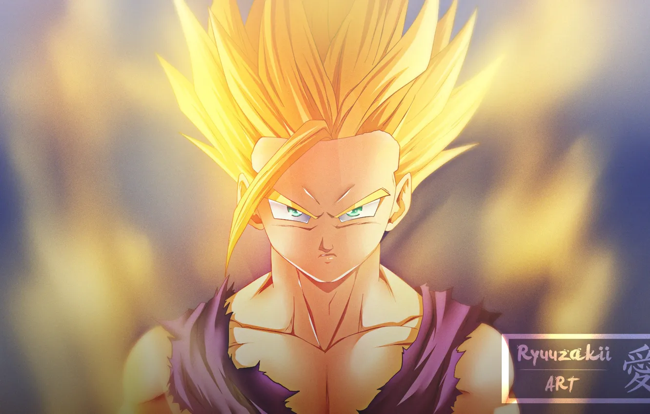 Photo wallpaper look, guy, Dragon Ball, Dragonball