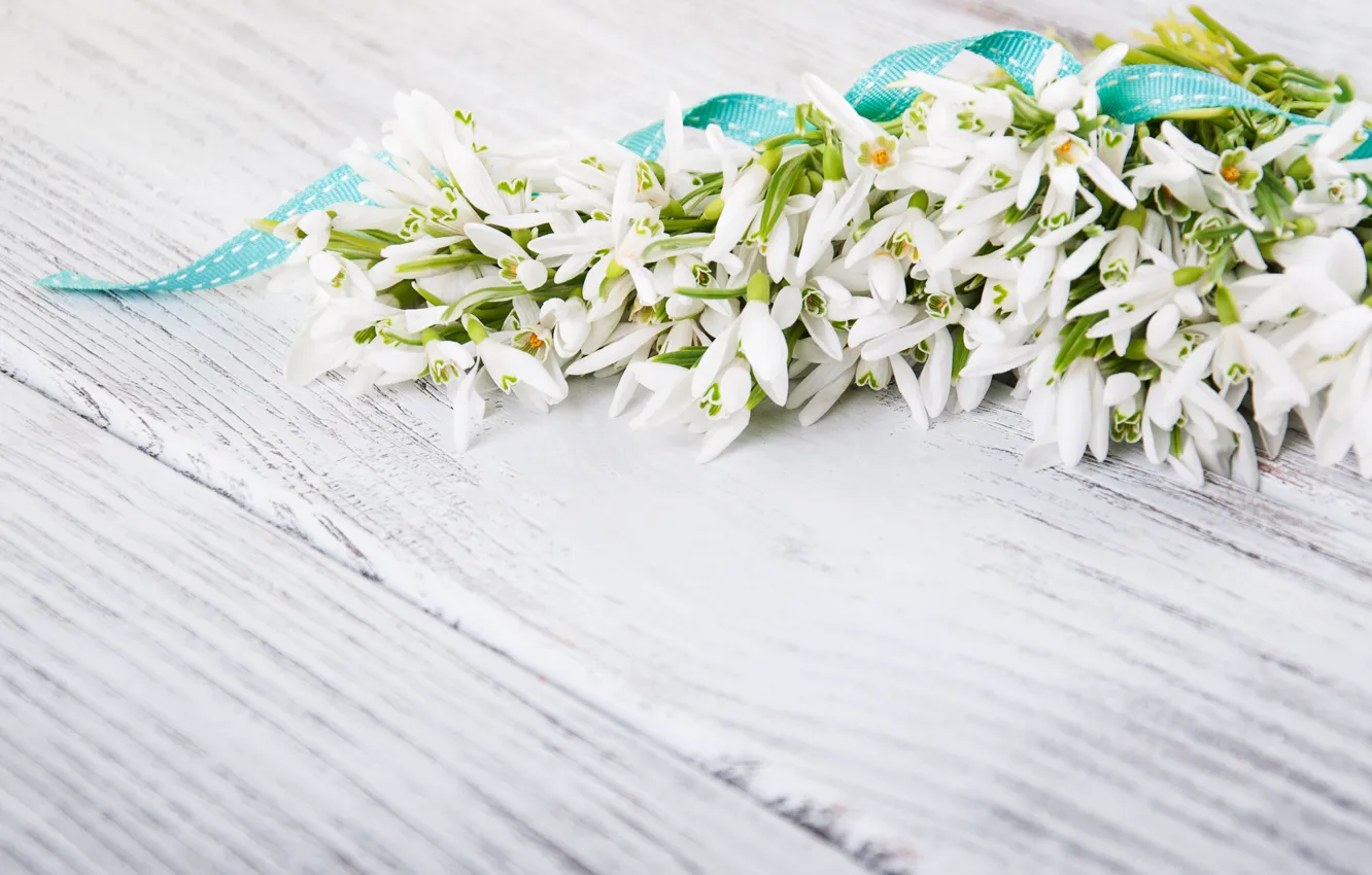 Photo wallpaper flowers, bouquet, snowdrops, white, Olena Rudo