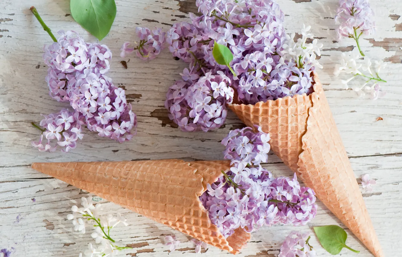Photo wallpaper flowers, flowers, lilac, lilac, waffle cone, waffle cones