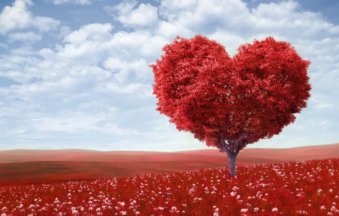 Photo wallpaper field, the sky, clouds, love, flowers, tree, romance, heart
