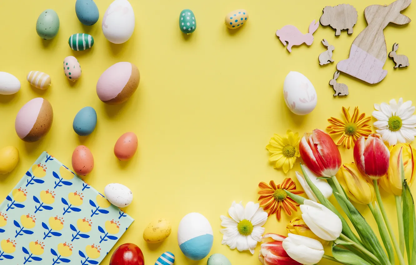 Photo wallpaper grass, flowers, chamomile, spring, colorful, Easter, tulips, chrysanthemum