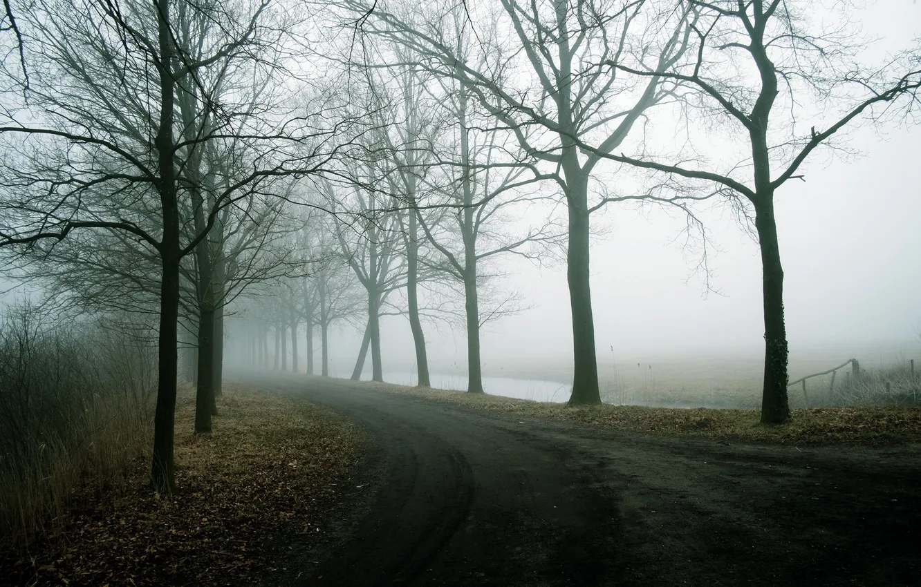 Photo wallpaper road, landscape, fog