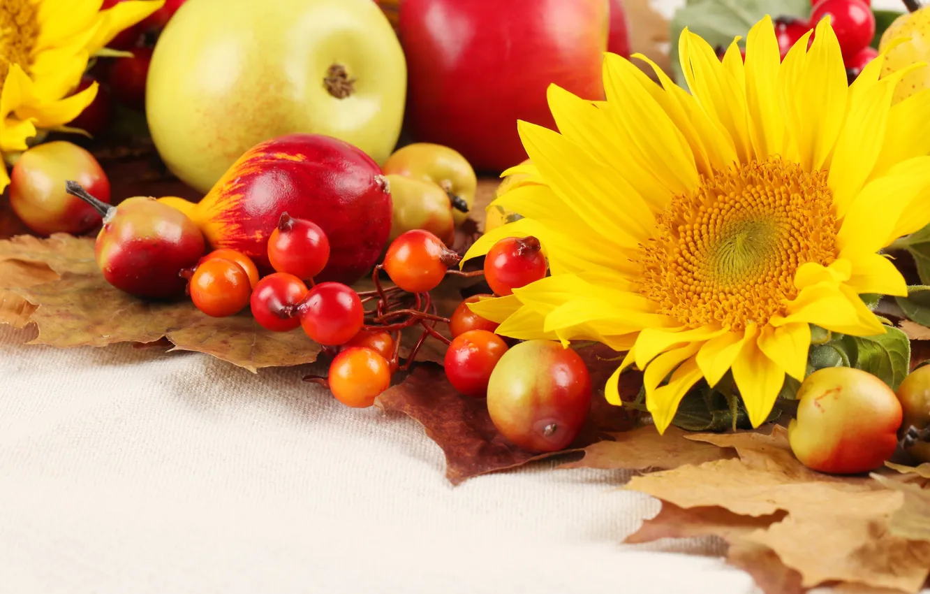 Photo wallpaper autumn, leaves, sunflowers, apples, fruit