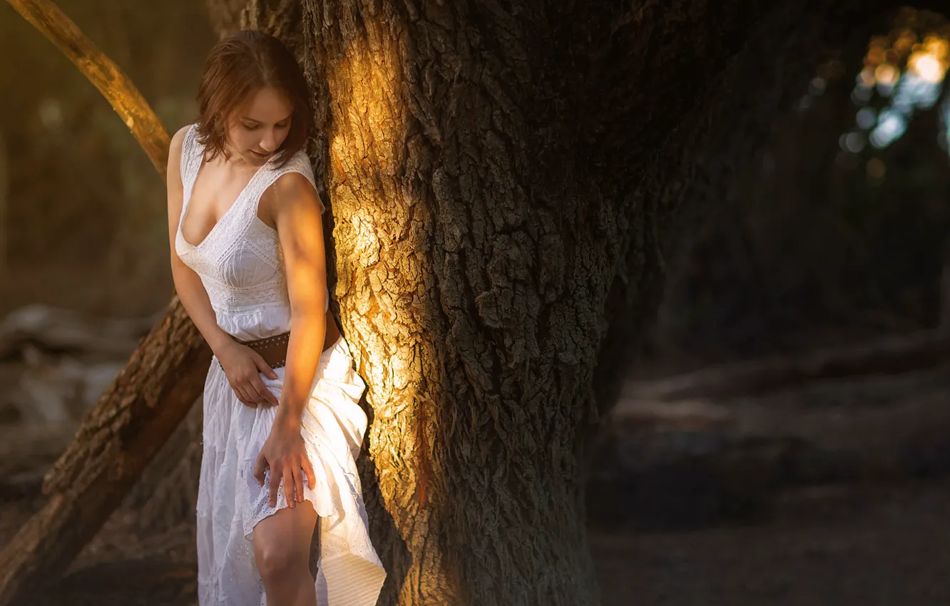 Photo wallpaper girl, dress, neckline, legs, sunlight, Studio Hors-champ, Bea