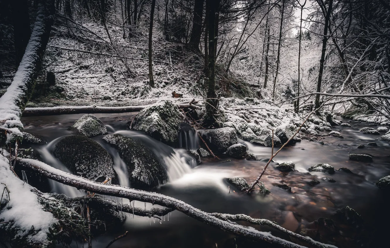 Photo wallpaper winter, forest, snow, river, frozen, Scotland, Perthshire
