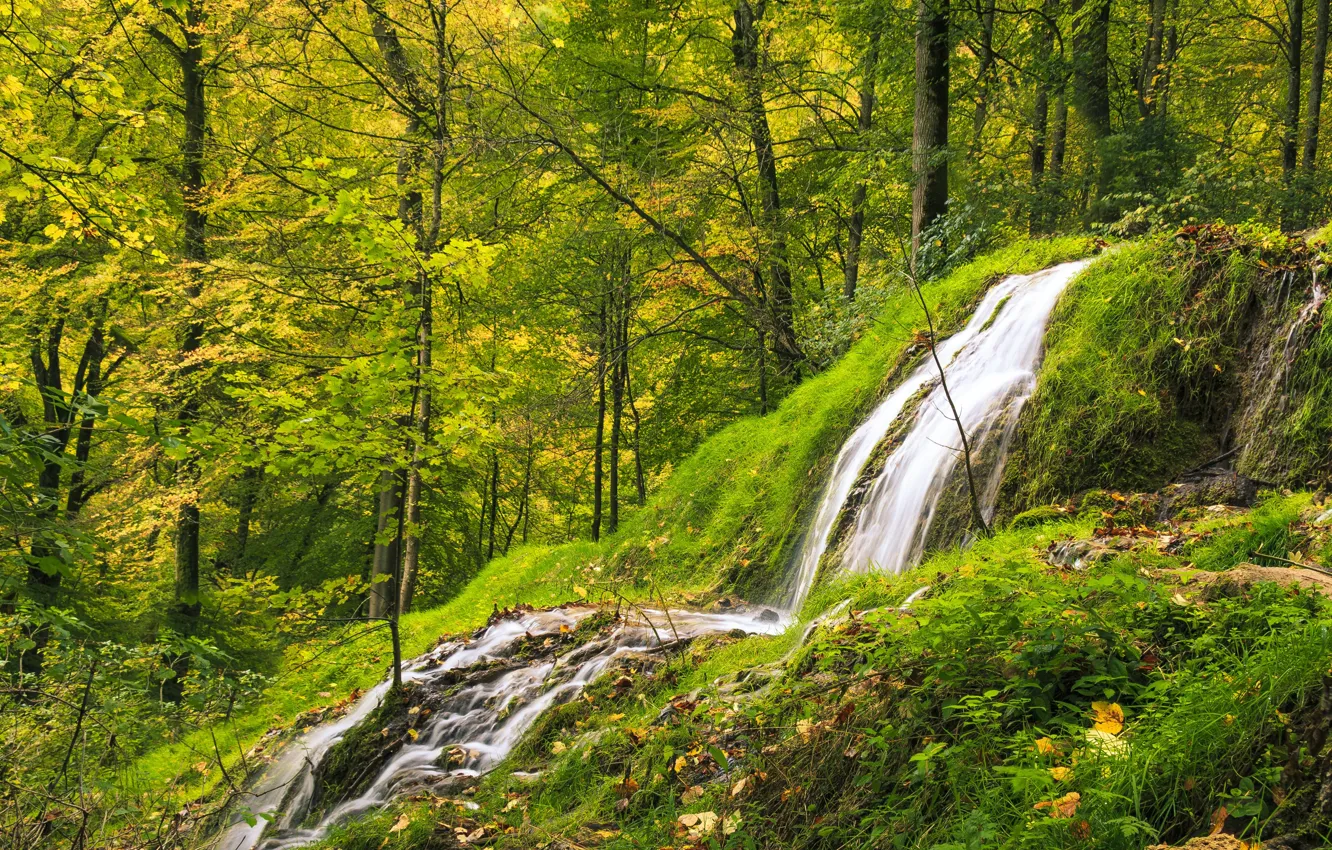 Photo wallpaper Nature, Waterfall, Trees, River, Forest, Stream