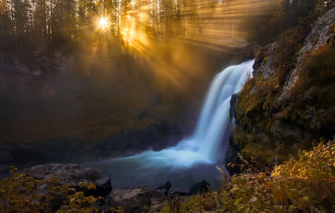 Photo wallpaper light, river, waterfall, morning