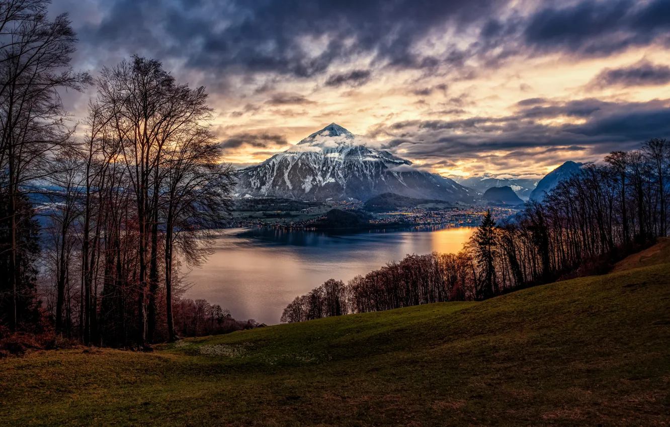 Photo wallpaper trees, mountains, lake, Switzerland, Switzerland, Lake Thun, Bernese Alps, The Bernese Alps