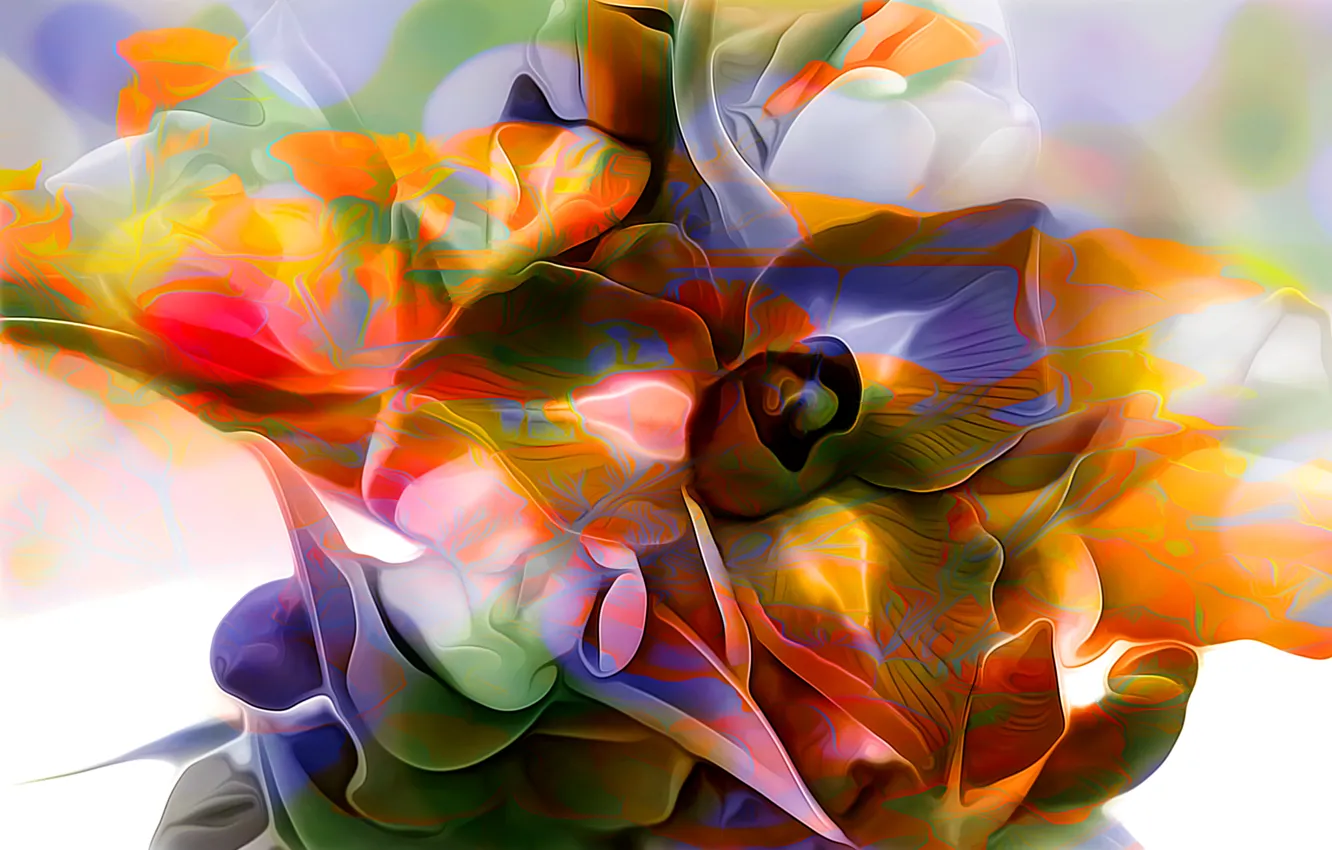 Photo wallpaper line, flowers, paint, petals