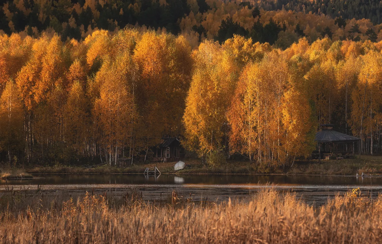 Photo wallpaper autumn, forest, light, trees, lake, river, shore, boat