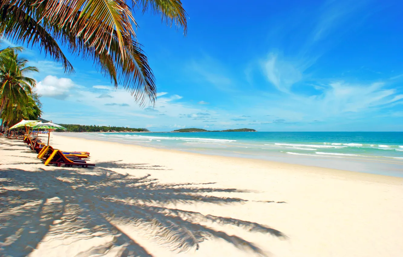 Photo wallpaper sea, beach, tropics, palm trees, stay