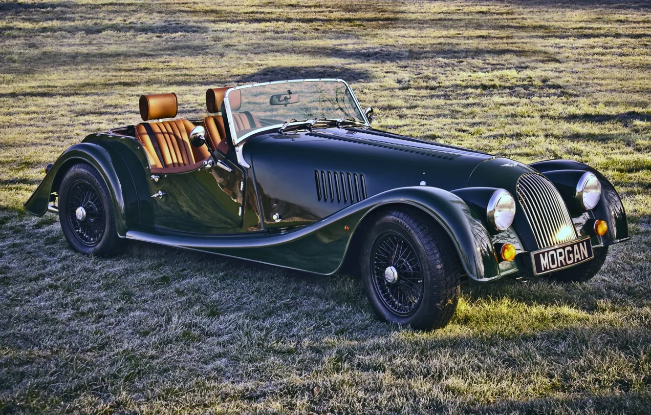 Photo wallpaper field, grass, 2008, green, supercar, the front, Sport, Morgan