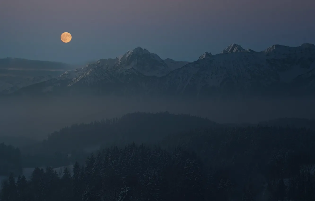 Photo wallpaper winter, the sky, snow, trees, mountains, night, nature, rocks