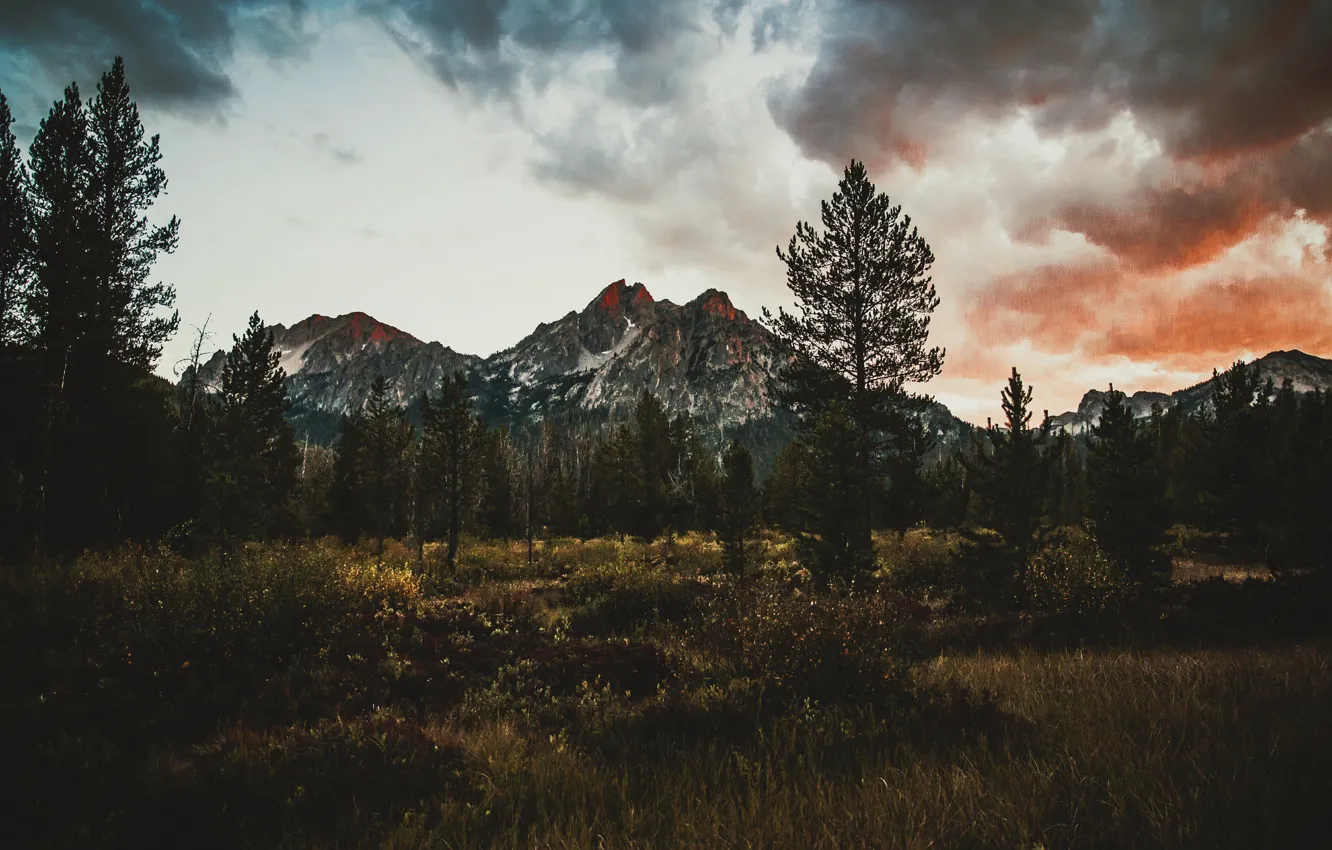 Photo wallpaper twilight, trees, sunset, mountains, clouds, dusk, red sky, pine