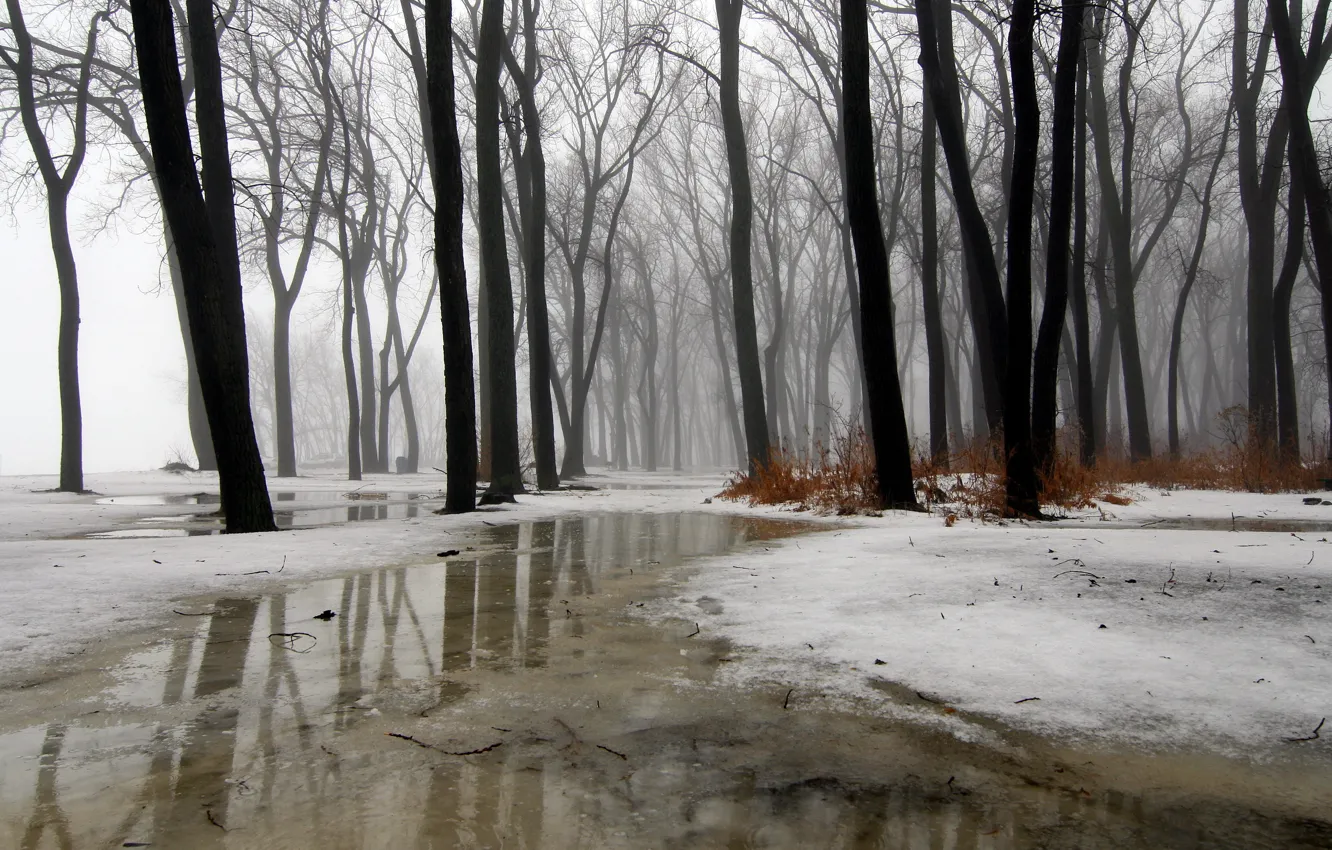 Photo wallpaper ice, rain, water, snow, fog, Wintermission