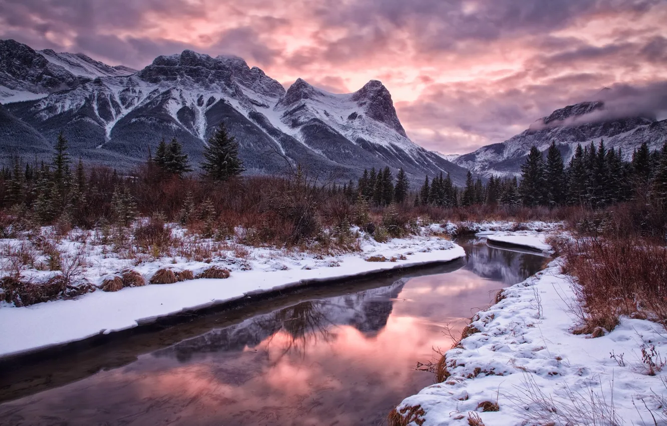 Photo wallpaper winter, forest, the sky, clouds, snow, trees, landscape, sunset