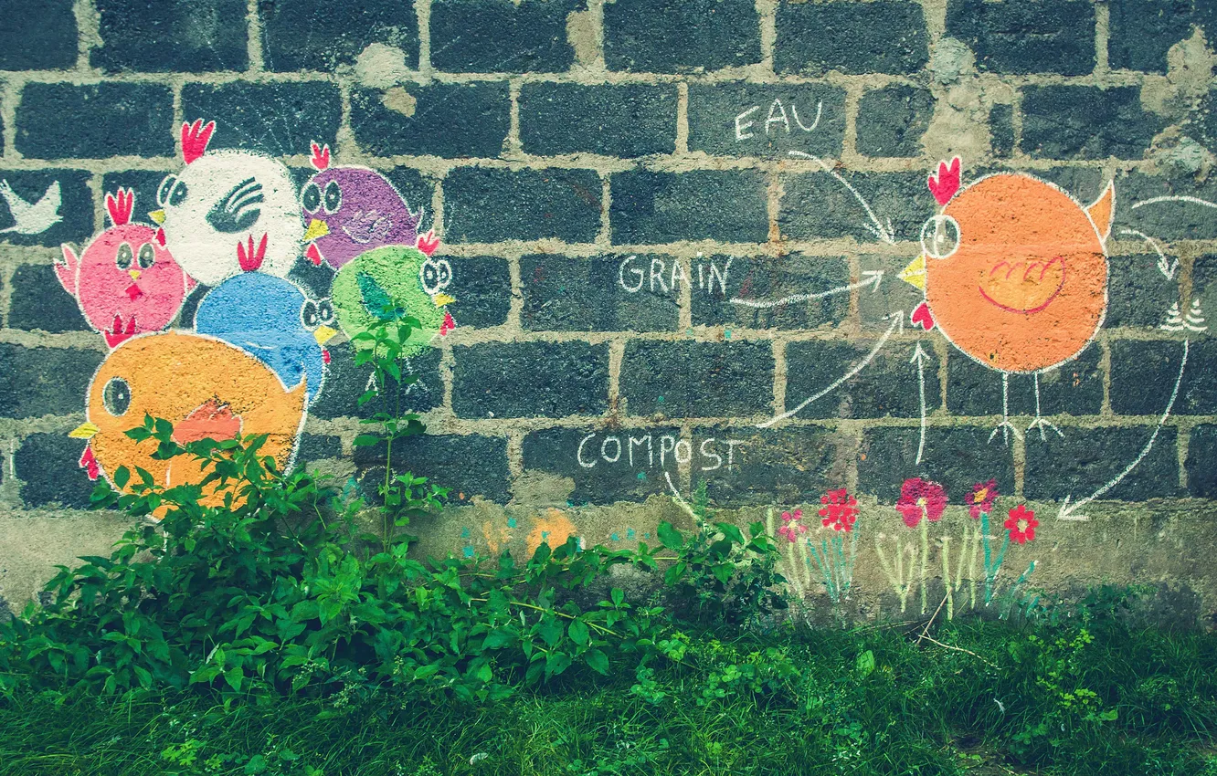 Photo wallpaper grass, color, flowers, wall, graffiti, dove, the bushes, chickens