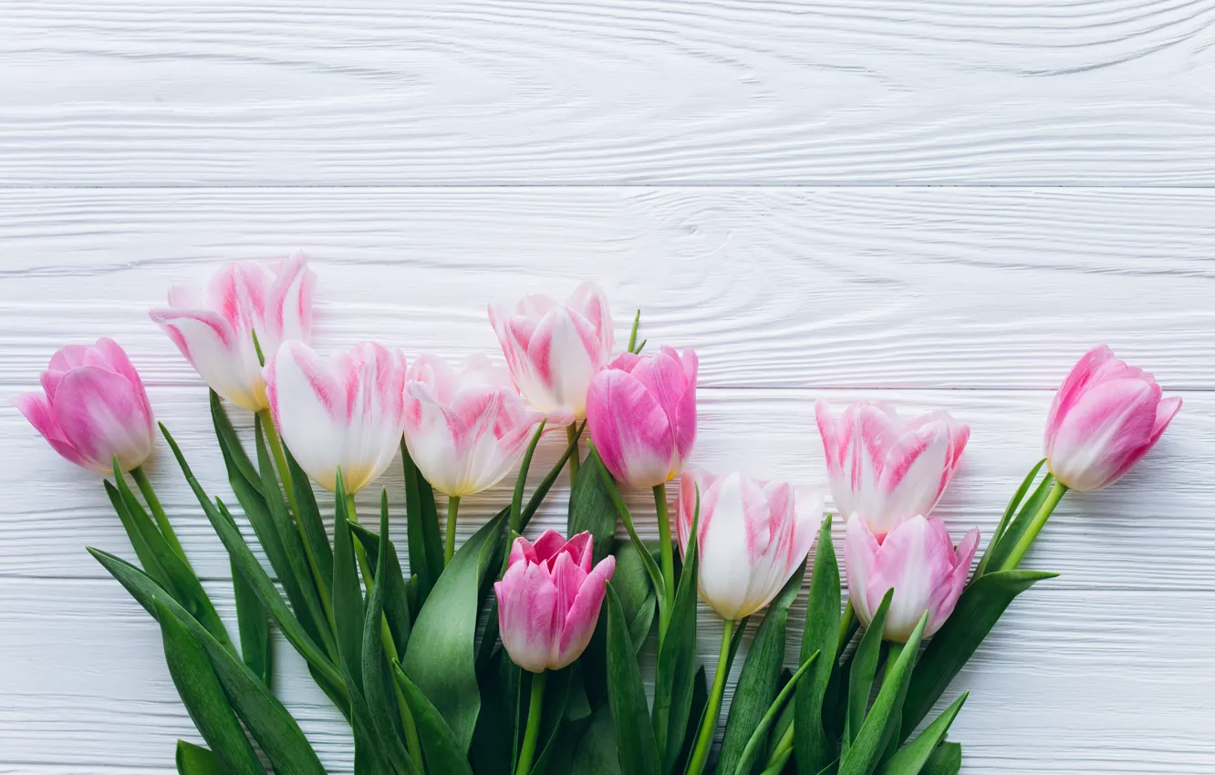 Photo wallpaper flowers, tulips, pink, fresh, wood, pink, flowers, beautiful