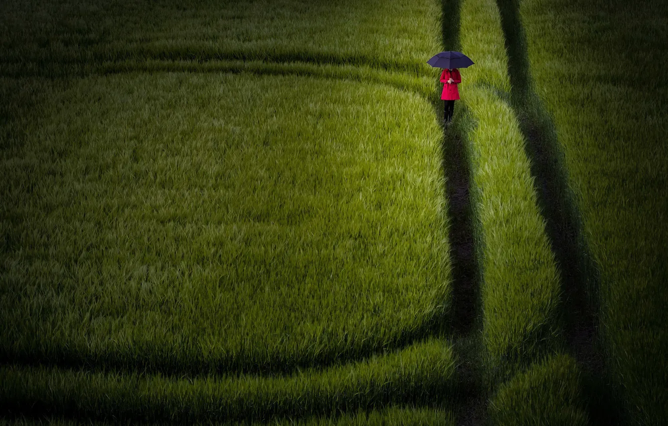 Photo wallpaper field, girl, umbrella