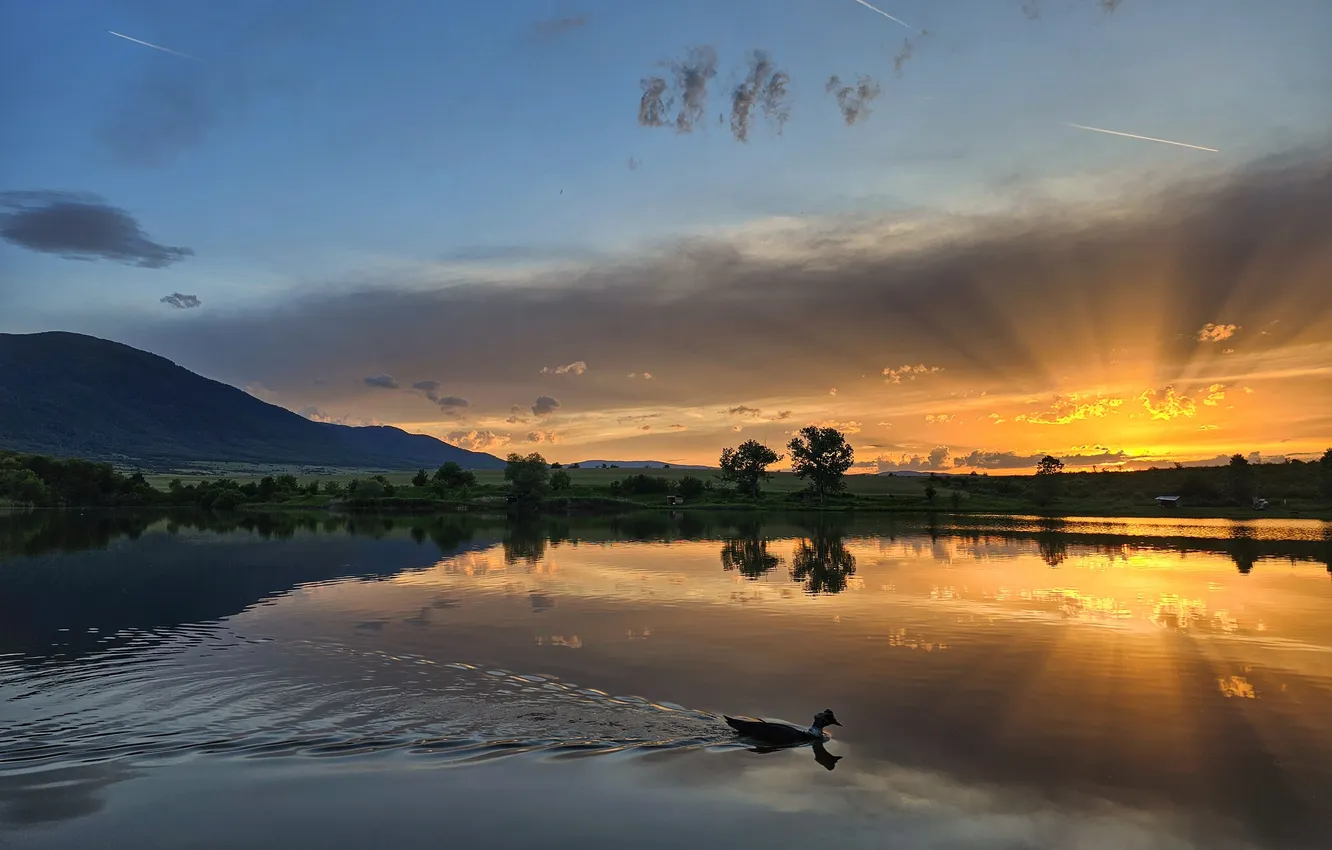 Photo wallpaper lake, dawn, duck, morning, horizon, the rays of the sun, Gerchev Nikolay