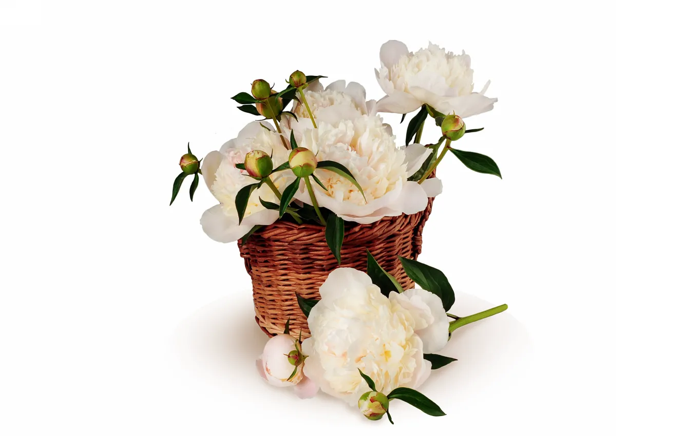 Photo wallpaper background, basket, peonies