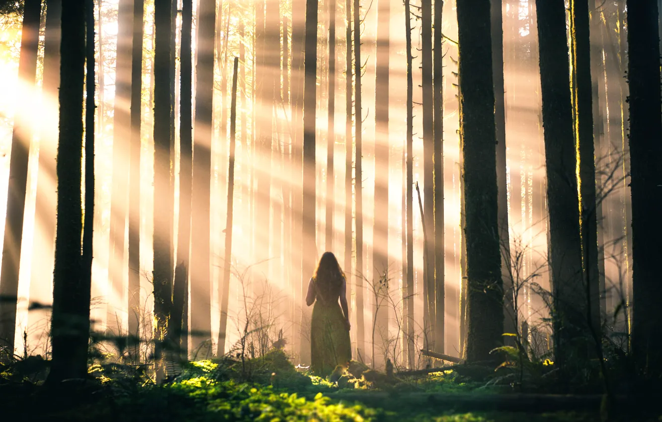 Photo wallpaper forest, girl, rays, trees, Lizzy Gadd, Sleepwalking