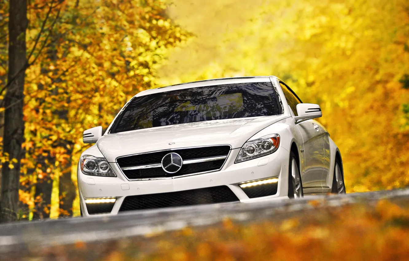 Photo wallpaper autumn, white, leaves, trees, Mercedes-Benz, supercar, Mercedes, the front