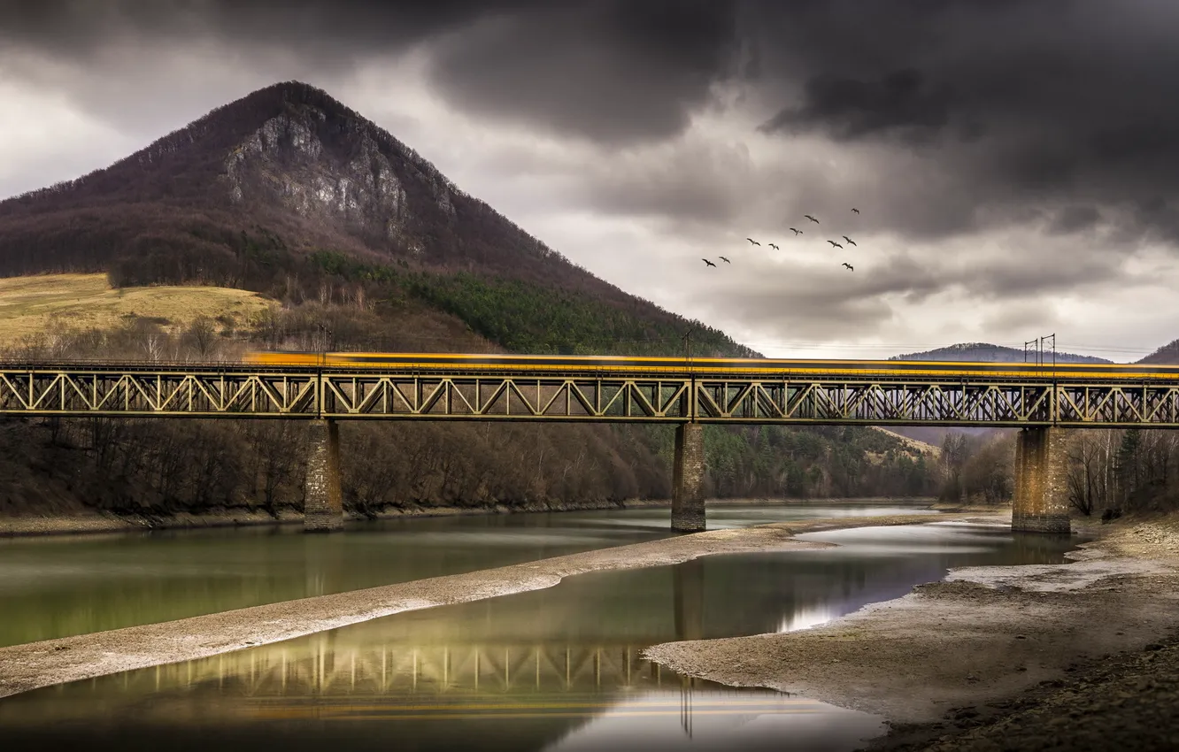 Photo wallpaper bridge, river, train