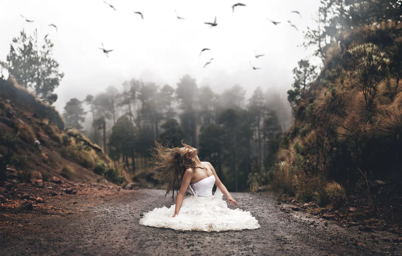 Photo wallpaper road, forest, girl, birds, mood, hair, the situation, dress