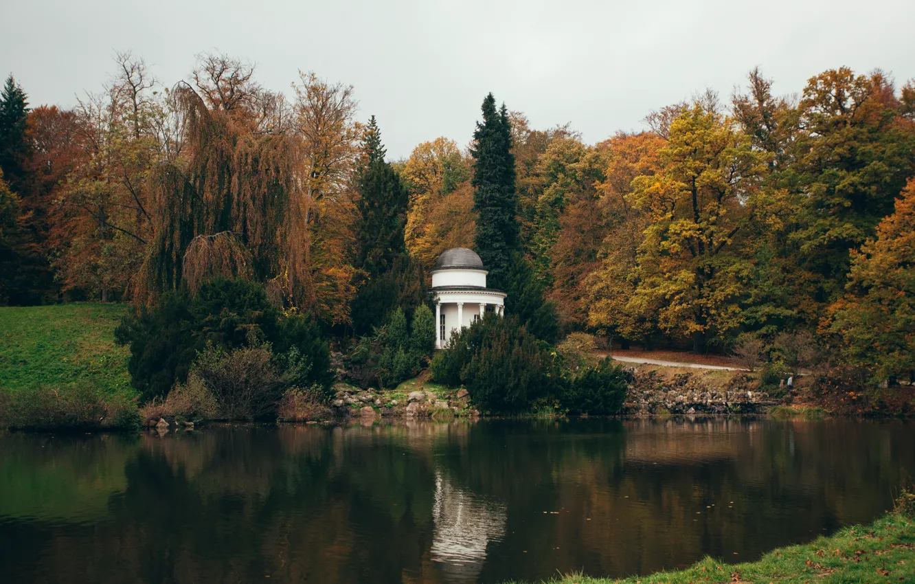 Photo wallpaper nature, Park, Germany, Kassel